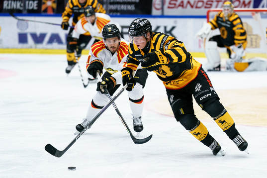 Skellefteås Rickard Hugg