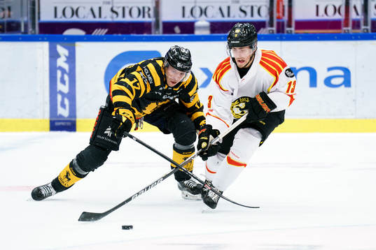 Skellefteås Pär Lindholm och Brynäs Samuel Johannesson