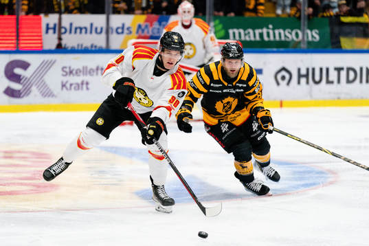 Brynäs David Sklenicka och Skellefteås Oscar Möller