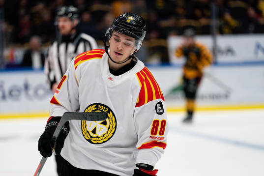 Brynäs Dmytro Timashov