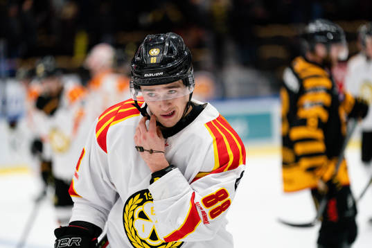 Brynäs Dmytro Timashov