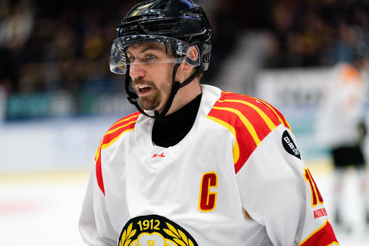 Brynäs Anton Rödin