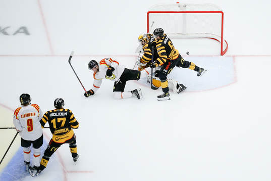 Brynäs Johan Larsson