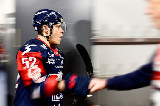 Linköpings Petrus Palmu