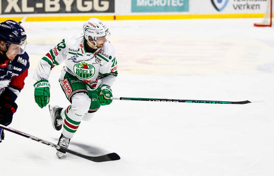Daniel Zaar