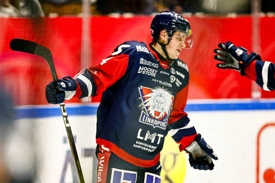 Linköpings Mattias Hävelid jublar