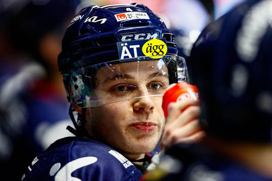Linköpings Mattias Hävelid jublar