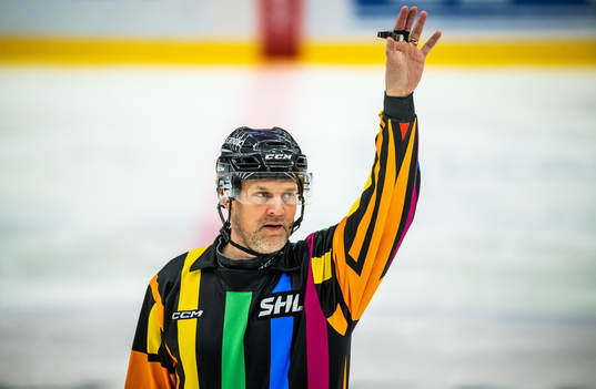 Domare Mikael Nord