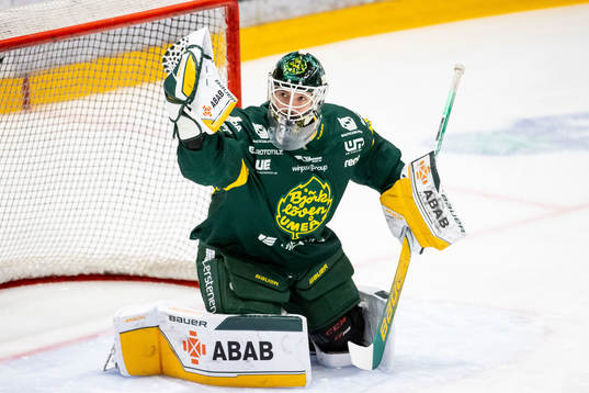 Björklövens målvakt Alex D’orio