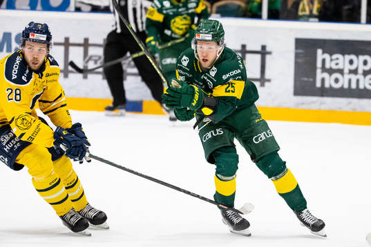 Björklövens Christopher Bengtsson