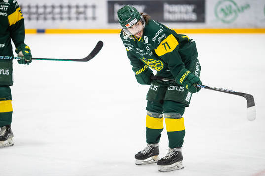 Björklövens Gustav Possler