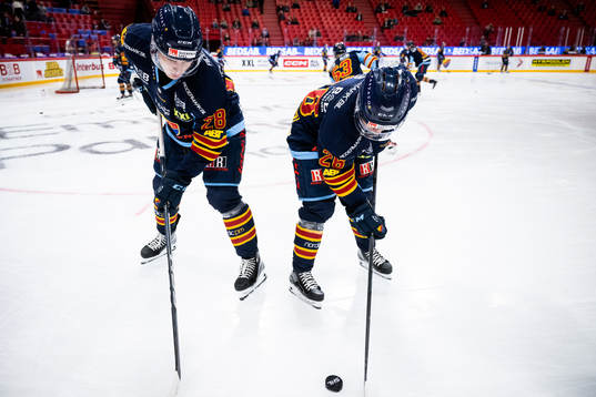Djurgårdens Liam Öhgren och Emil Berglund
