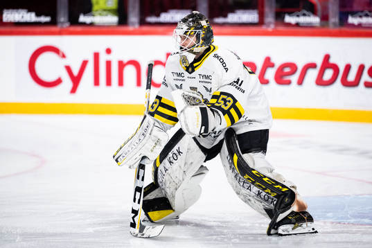 AIKs målvakt Claes Endre