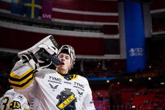 AIKs målvakt Claes Endre