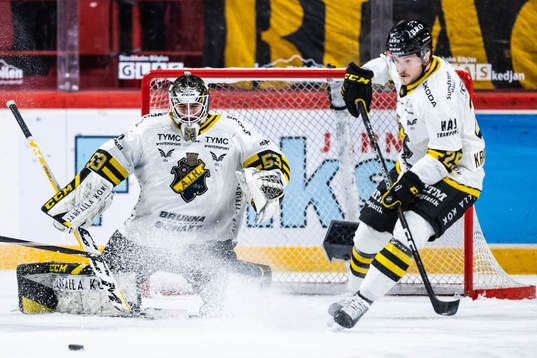 AIKs målvakt Claes Endre