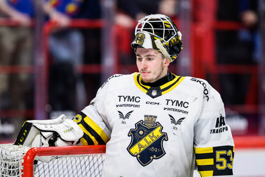 AIKs målvakt Claes Endre