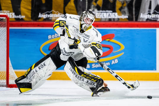 AIKs målvakt Claes Endre