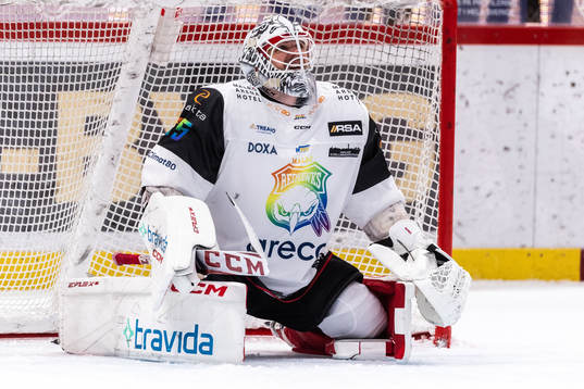 Malmö Redhawks målvakt Adam Werner deppar