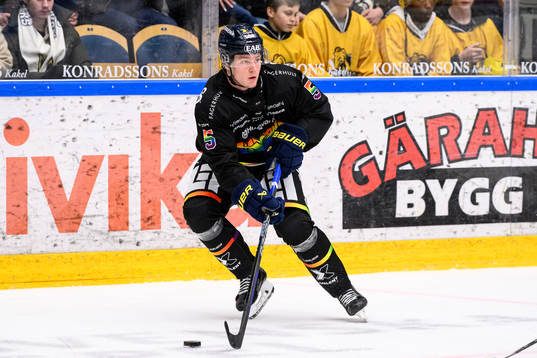 HV71s Victor Sjöholm