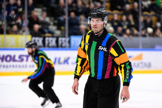 Domare Johan Magnusson