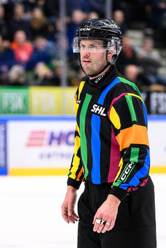 Domare Johan Magnusson