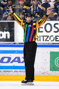 Domare Johan Magnusson