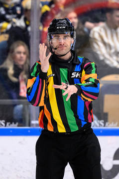 Domare Richard Magnusson