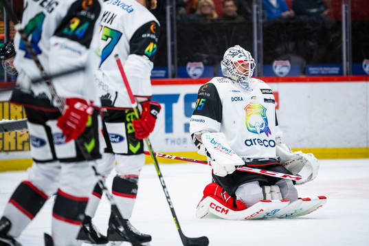 Malmö Redhawks målvakt Adam Werner deppar