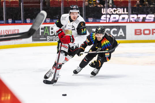 Malmö Redhawks Carl-Johan Lerby och Brynäs Oula Palve