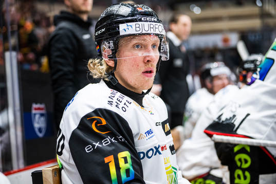 Malmö Redhawks Marcus Sylvegård