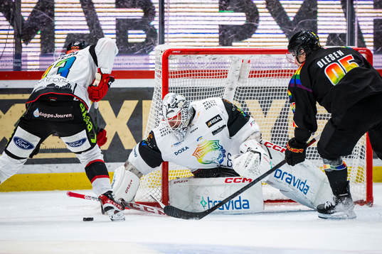 Malmö Redhawks målvakt Adam Werner
