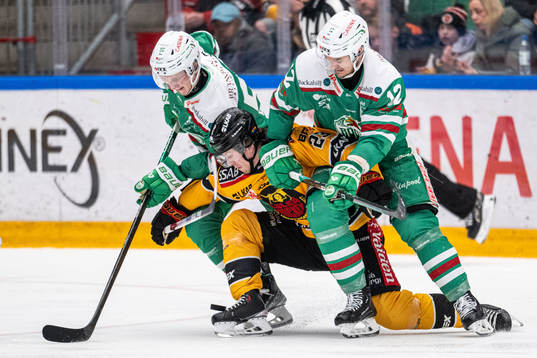 Rögles Adam Engström och Brady Ferguson