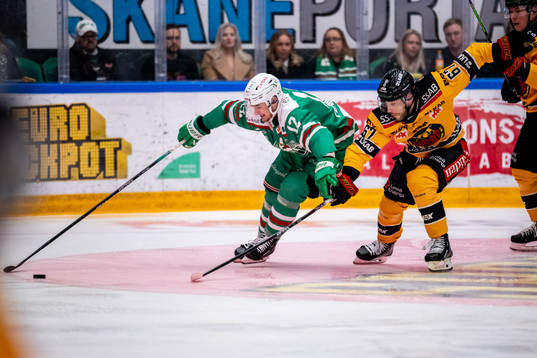 Rögles Brady Ferguson  och Luleås Konstantin Komarek
