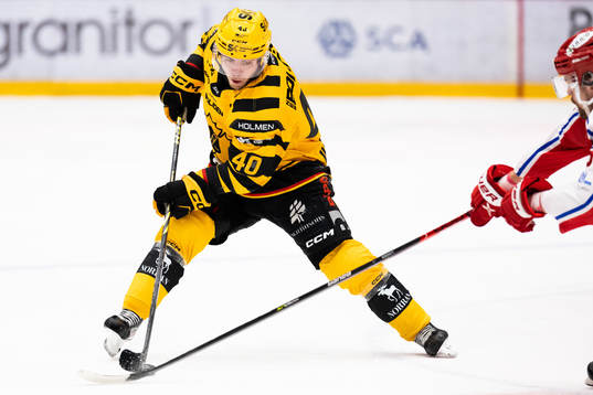 Skellefteås Andreas Wingerli