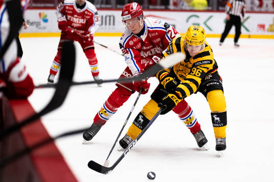 Timrås Erik Walli Walterholm och Skellefteås Rickard Hugg