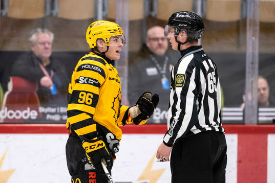Skellefteås Rickard Hugg i diskussion med domaren