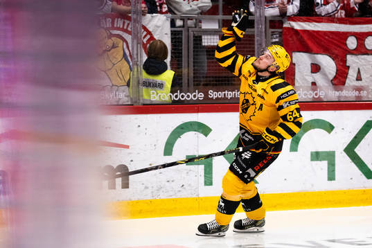 Skellefteås Jonathan Pudas