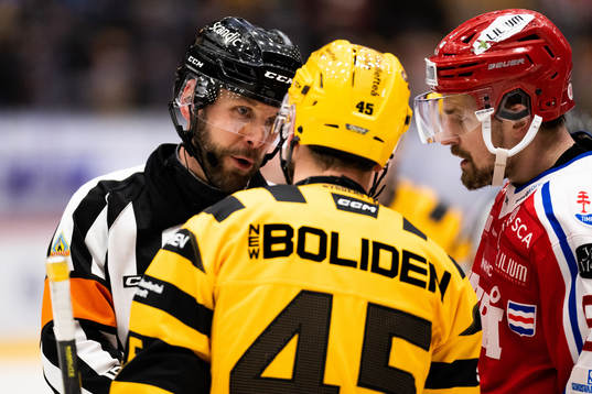 Domaren Marcus Linde diskuterar med Skellefteås Oscar