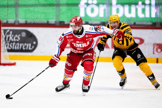 Timrås Robin Hanzl