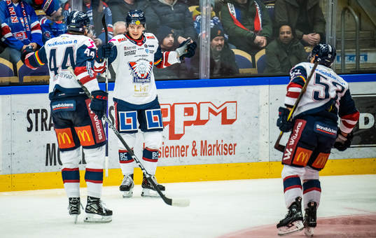 Linköpings Mattias Hävelid jublar med lagkamrater