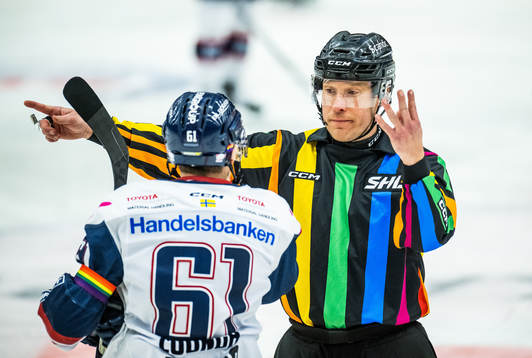 Domare Tobias Björk och Linköpings Markus Ljungh
