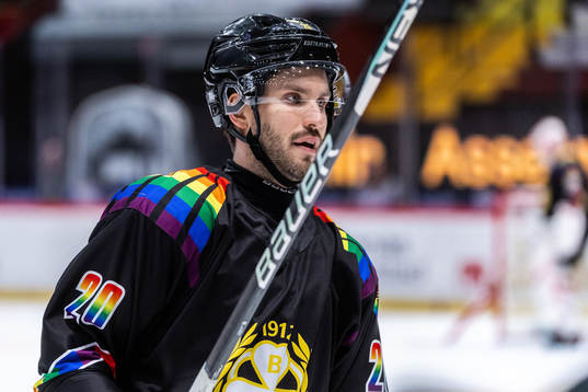 Brynäs Oula Palve