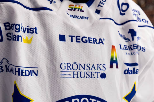 Matchtröja i pride färger