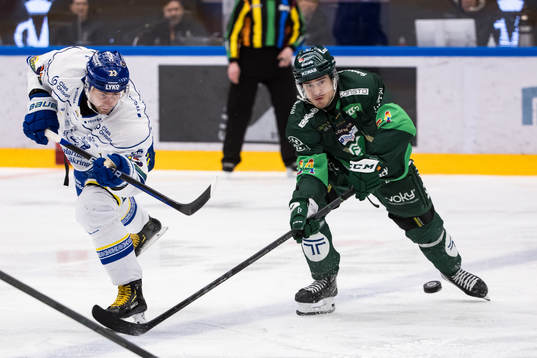 Leksands Mikael Ruohomaa och Färjestads Michael Lindqvist