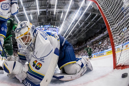 Leksands målvakt Mantas Armalis deppar