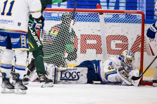 Leksands målvakt Mantas Armalis deppar