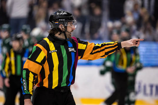 Domare Mikael Sjöqvist