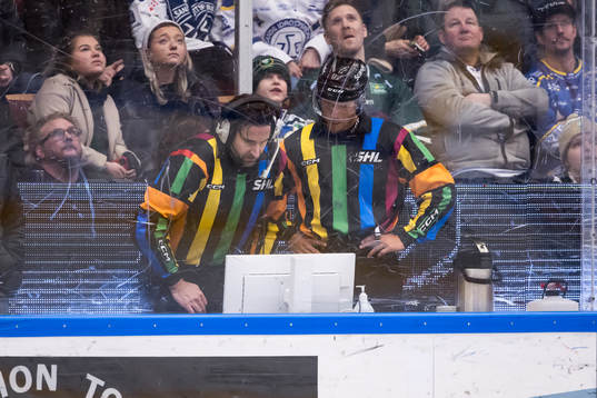 Videogranskning av Domare Mikael Sjöqvist och Domare