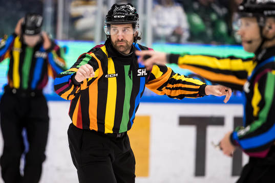 Domare Mikael Sjöqvist