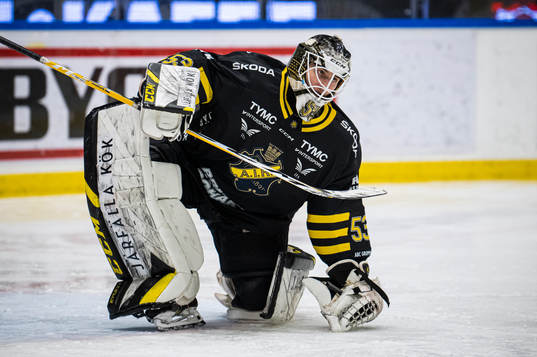 AIKs målvakt Claes Endre